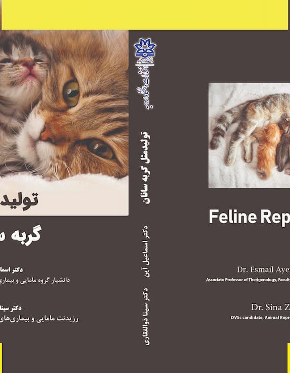 تولید مثل گربه‌سانان
