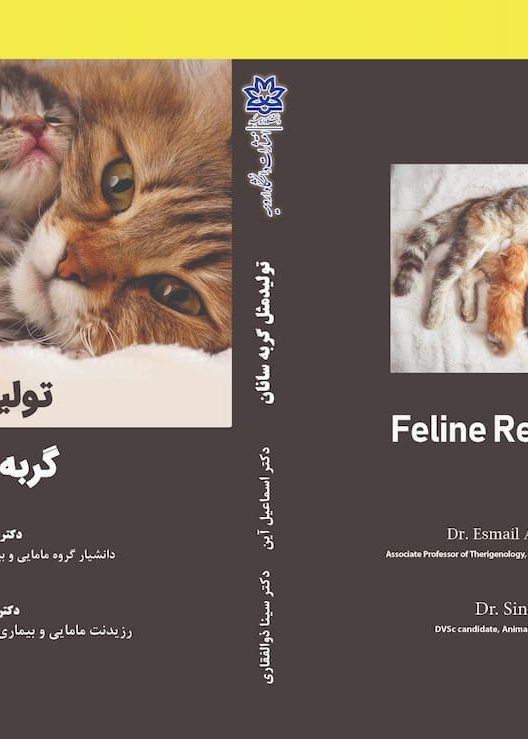 تولید مثل گربه‌سانان