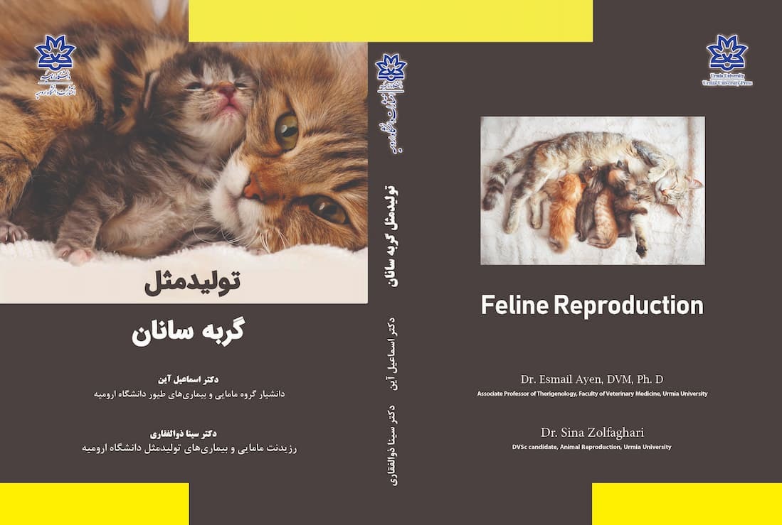 تولید مثل گربه‌سانان